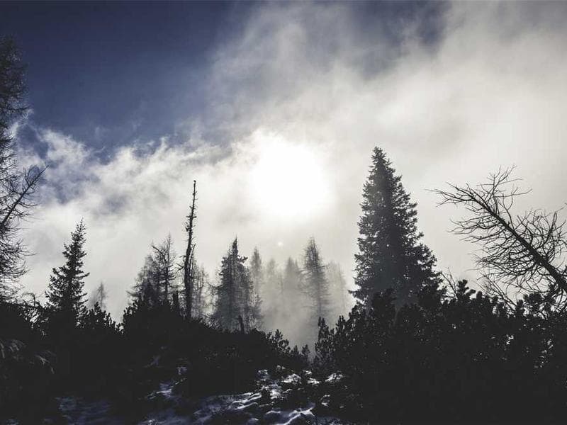 Business intelligence